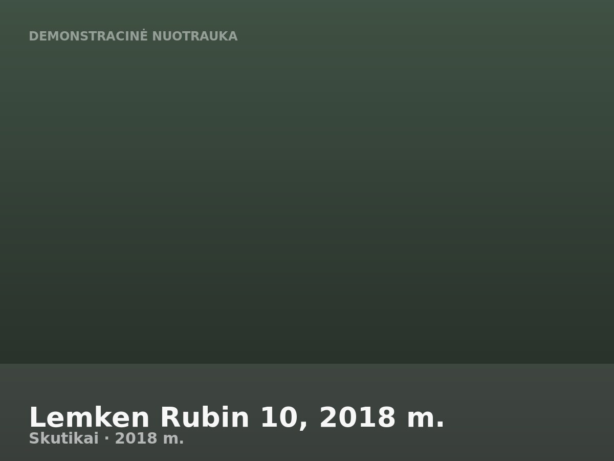 Lemken Rubin 10, 2018 m.