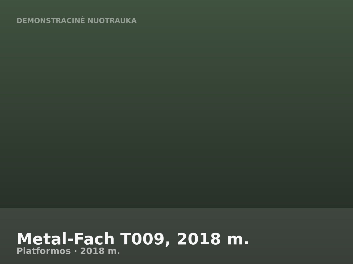 Metal-Fach T009, 2018 m.