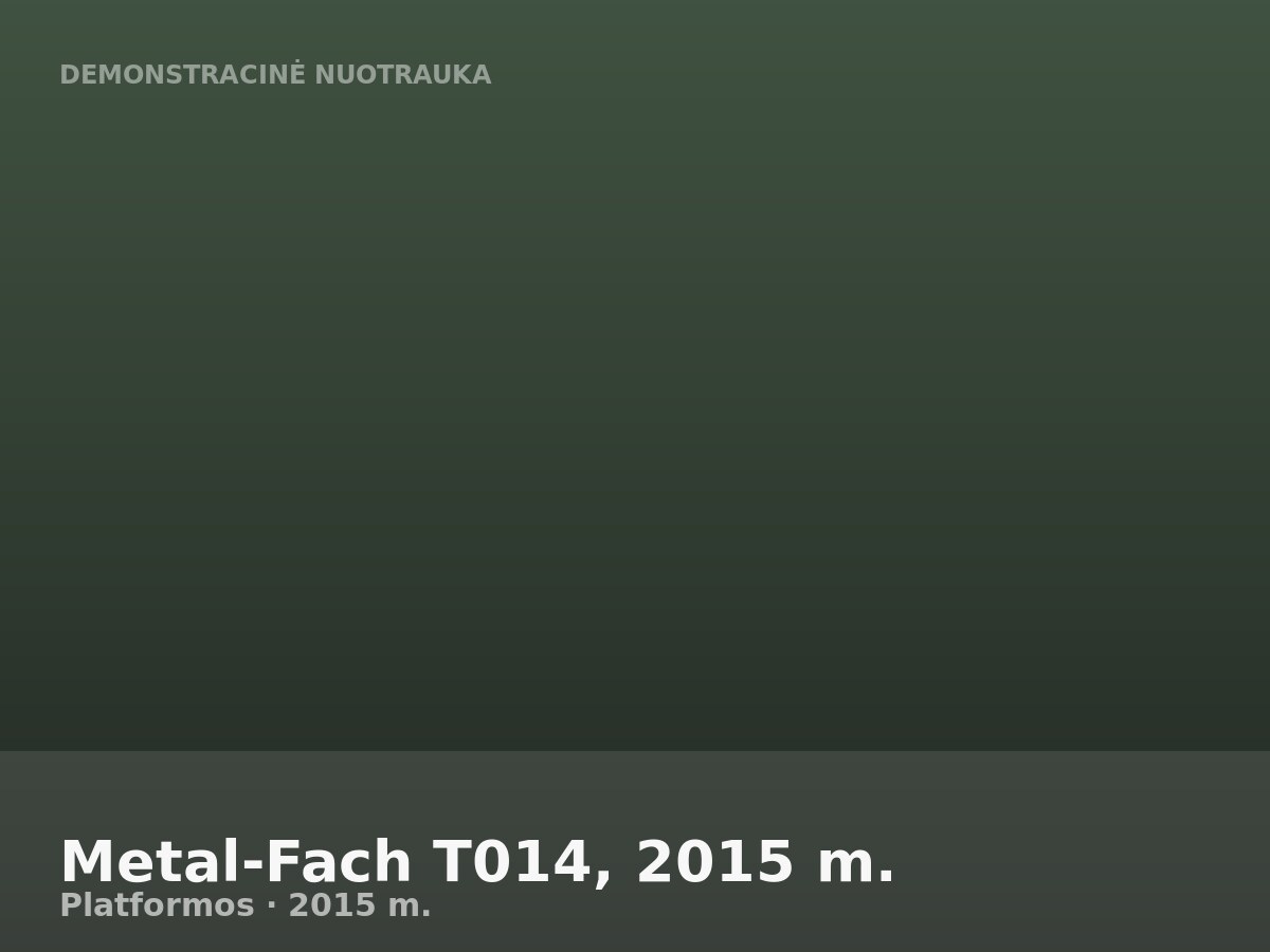 Metal-Fach T014, 2015 m.