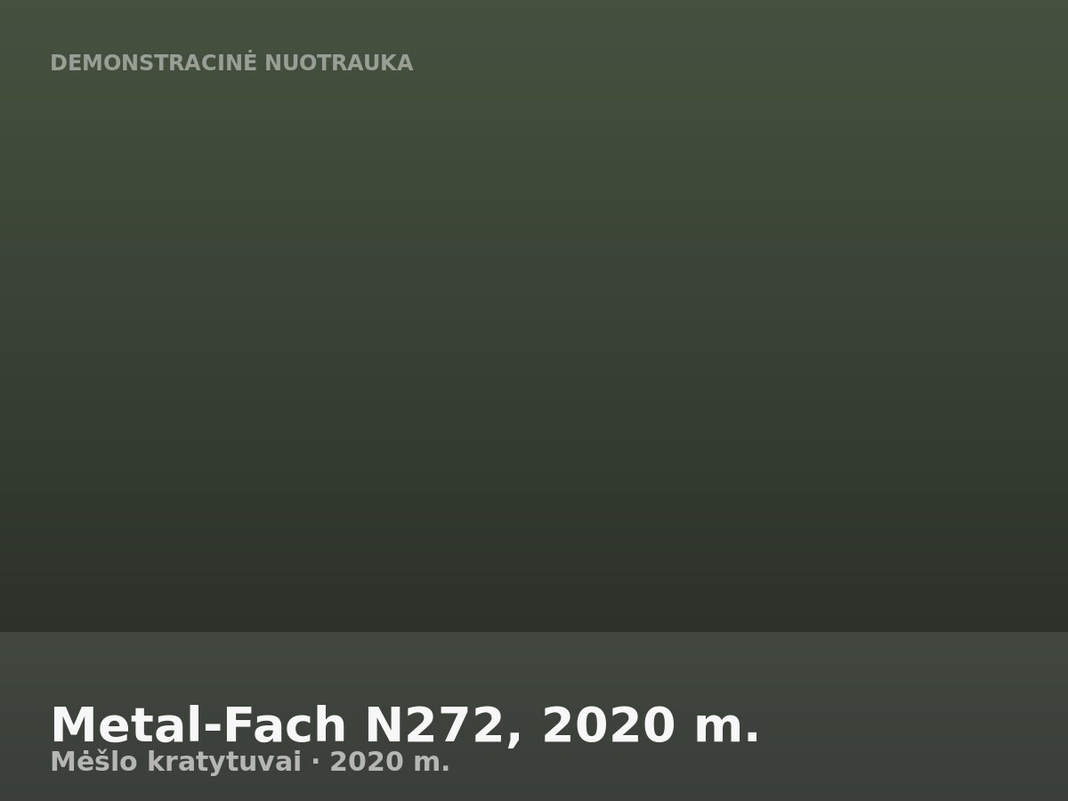 Metal-Fach N272, 2020 m.