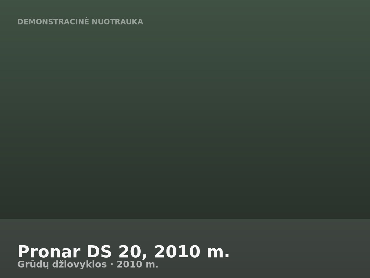 Pronar DS 20, 2010 m.
