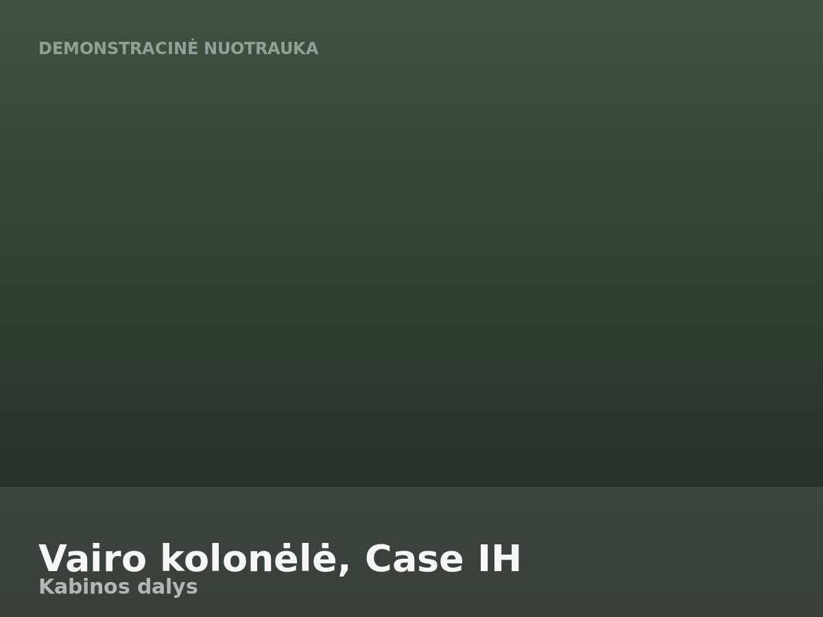 Vairo kolonėlė, Case IH