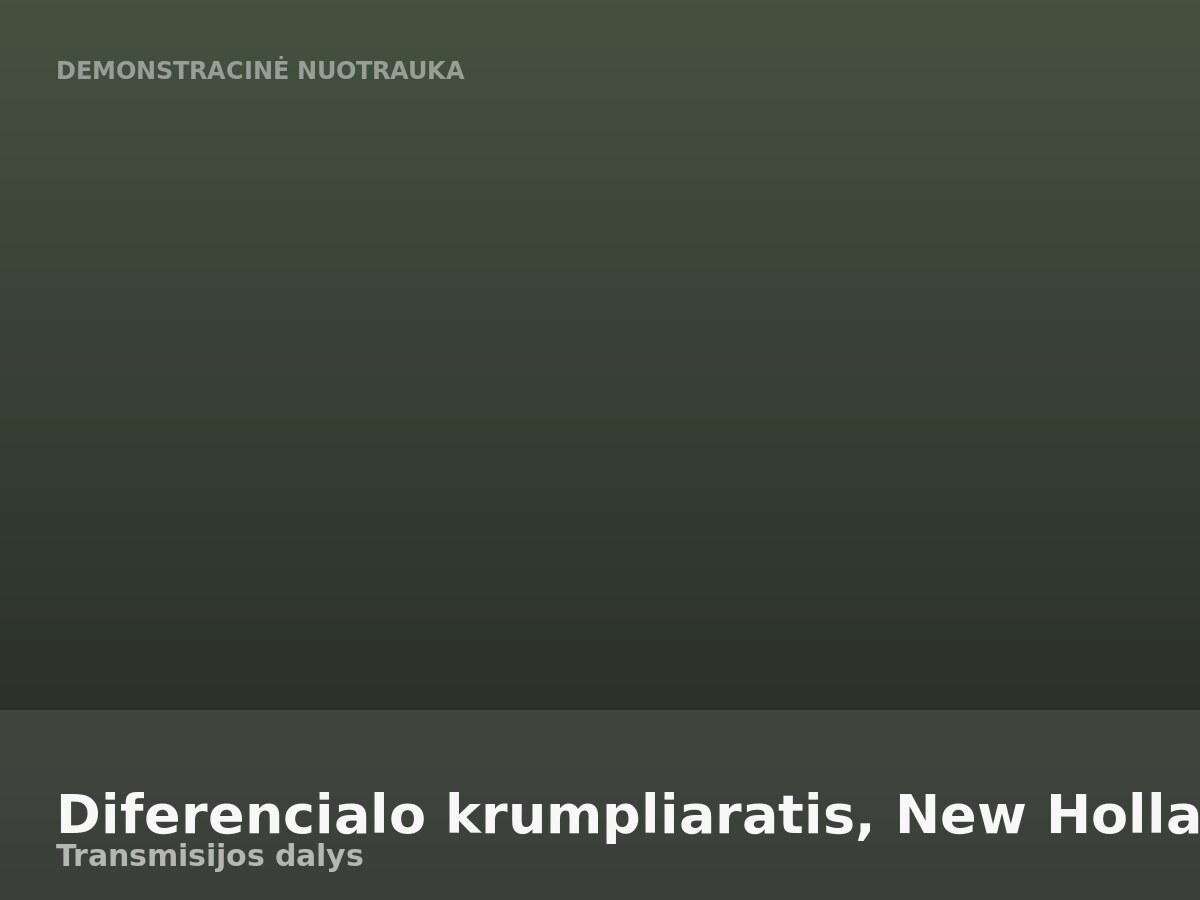 Diferencialo krumpliaratis, New Holland