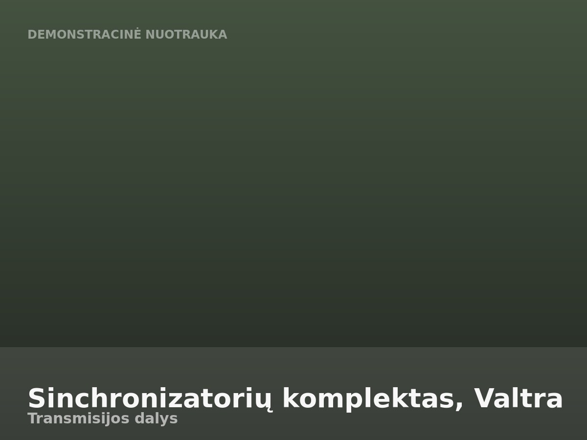 Sinchronizatorių komplektas, Valtra
