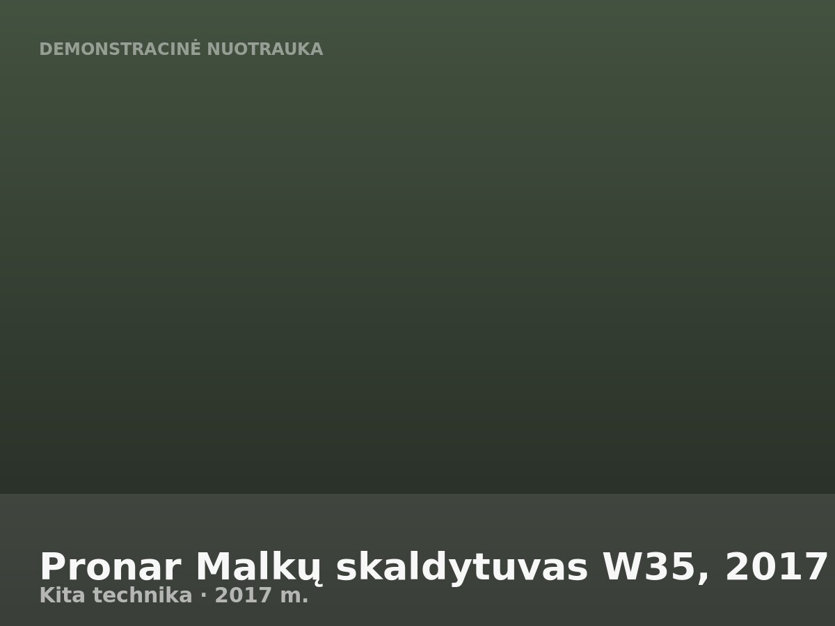 Pronar Malkų skaldytuvas W35, 2017 m.