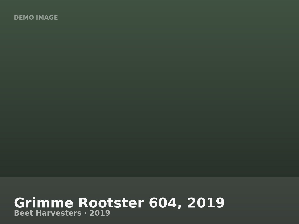 Grimme Rootster 604, 2019