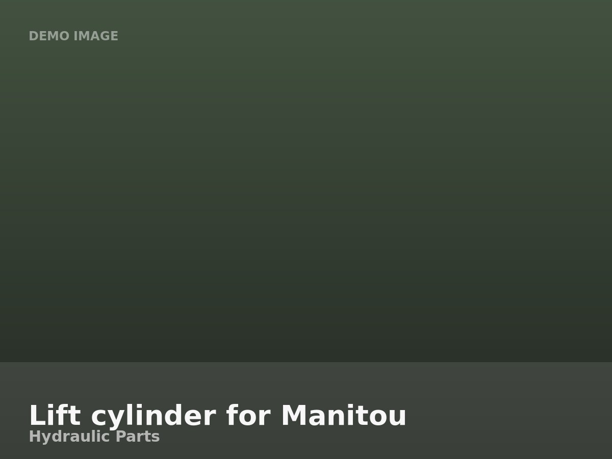 Lift cylinder for Manitou
