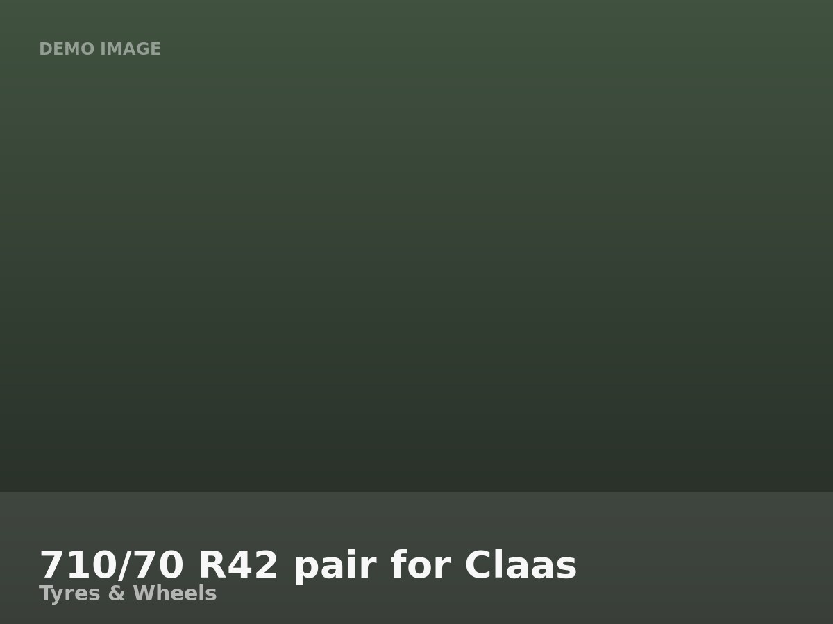 710/70 R42 pair for Claas