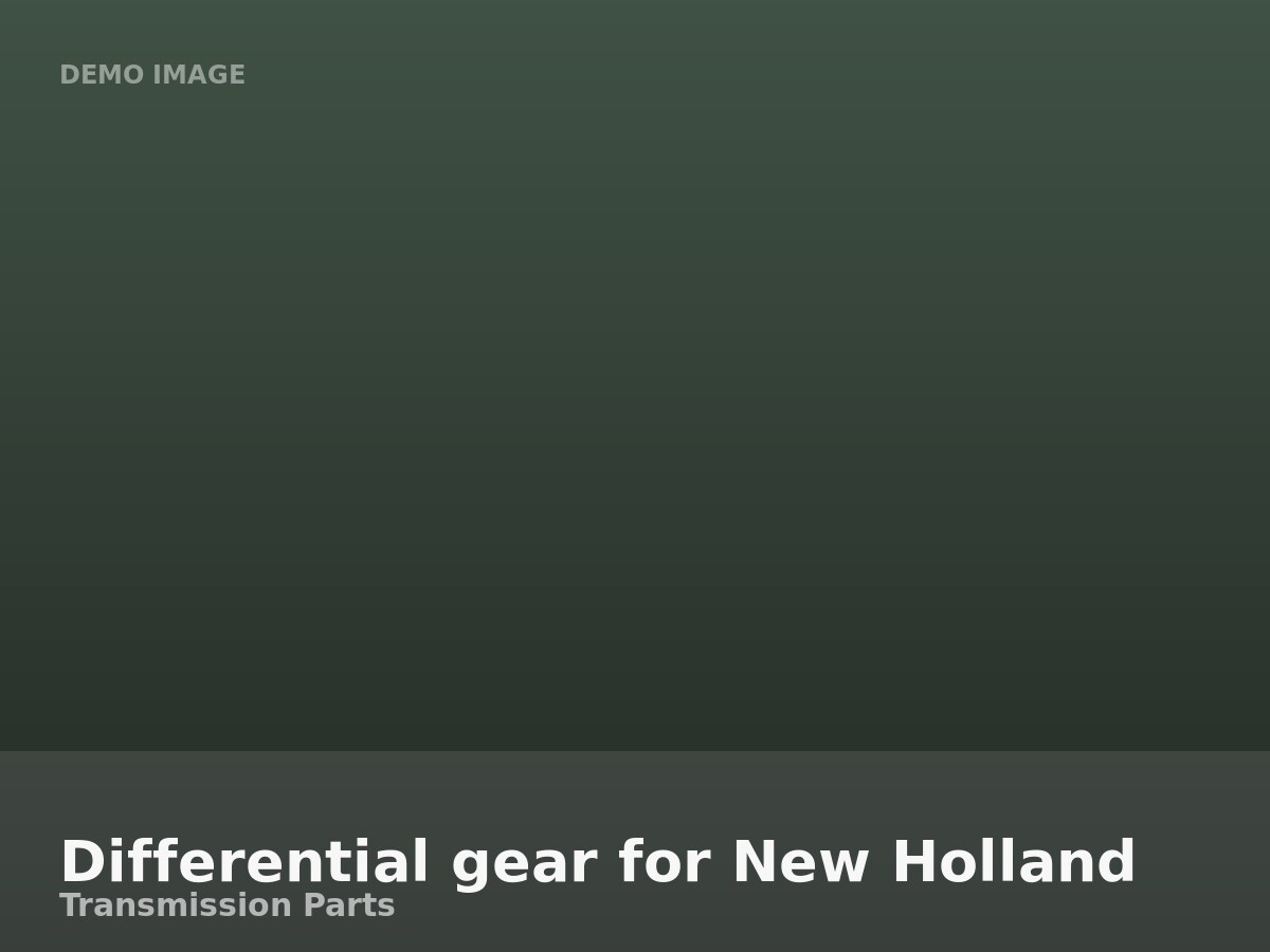 Differential gear for New Holland