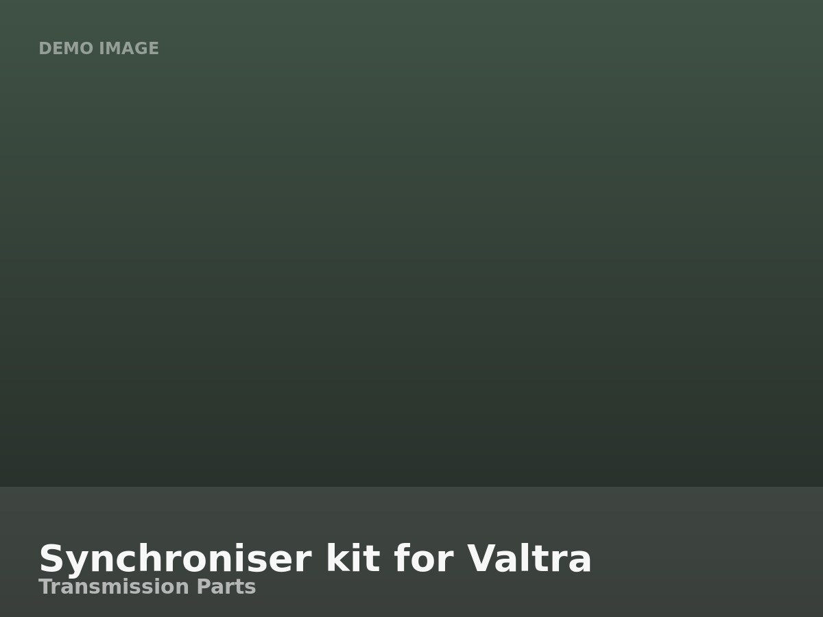 Synchroniser kit for Valtra